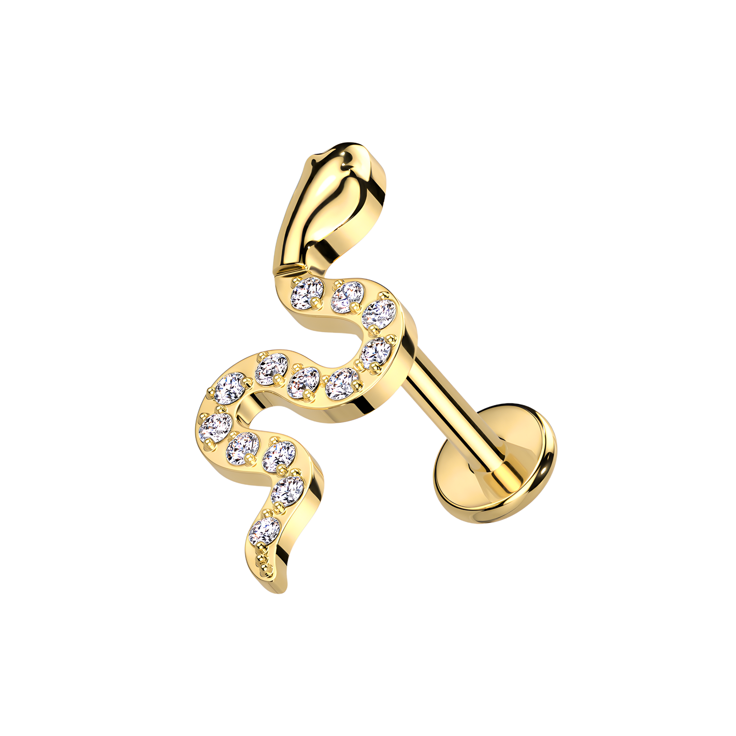 SHINY SNAKE