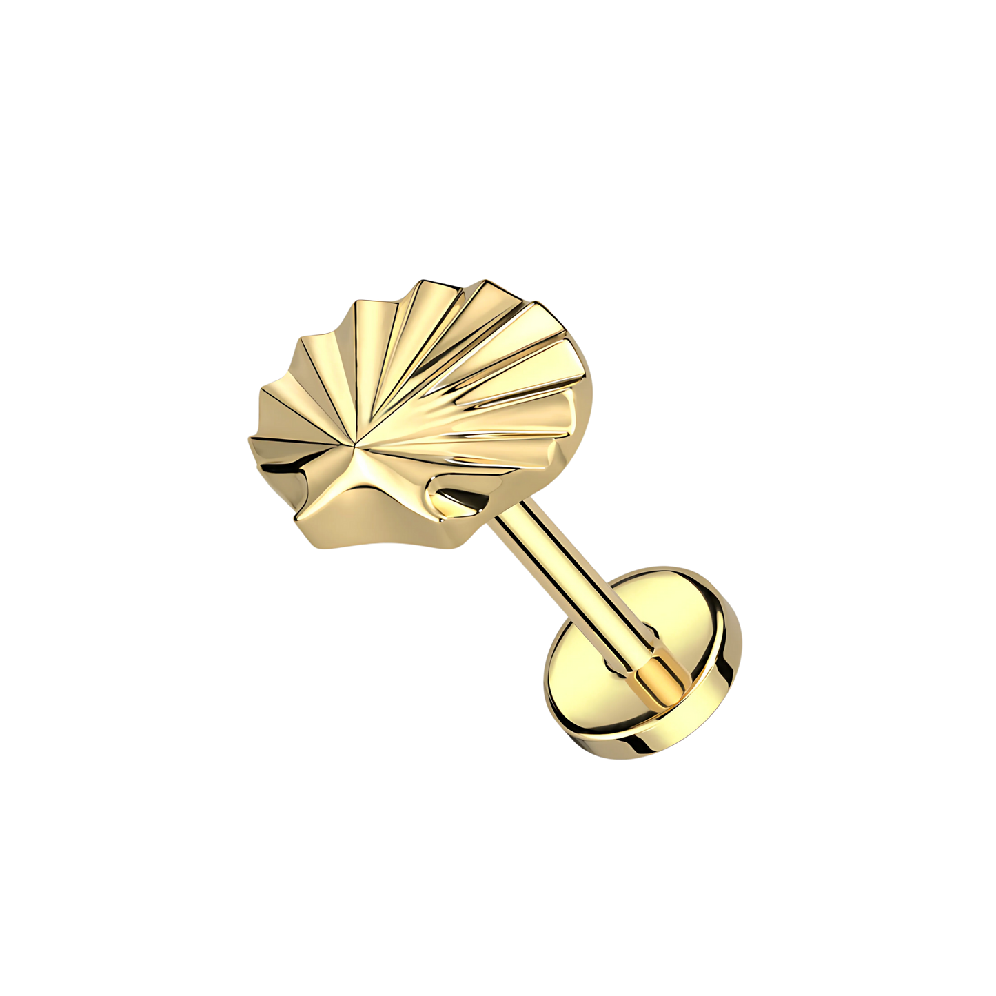 SHELL