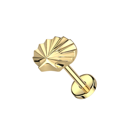 SHELL