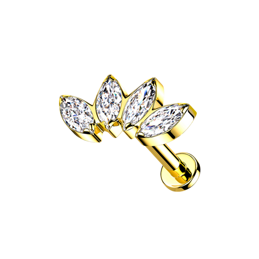 SHINY ANDROMEDA
