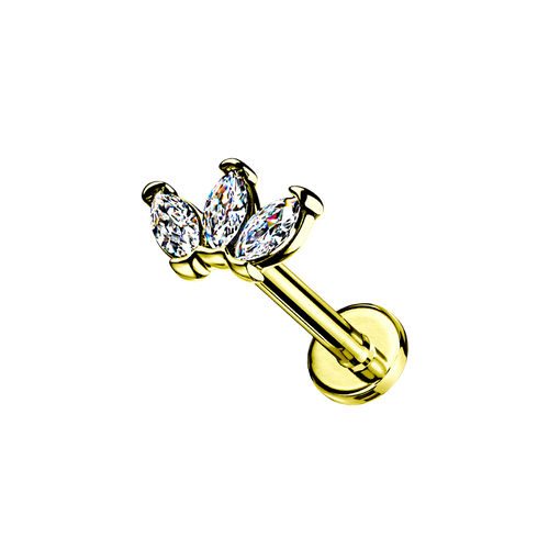 MARQUISE