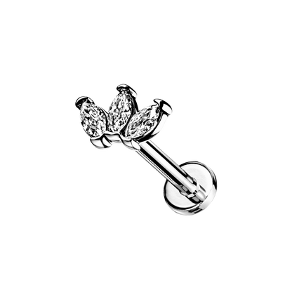 MARQUISE