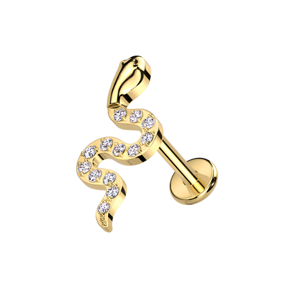 SHINY SNAKE