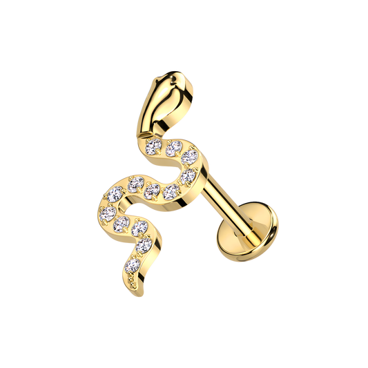 SHINY SNAKE