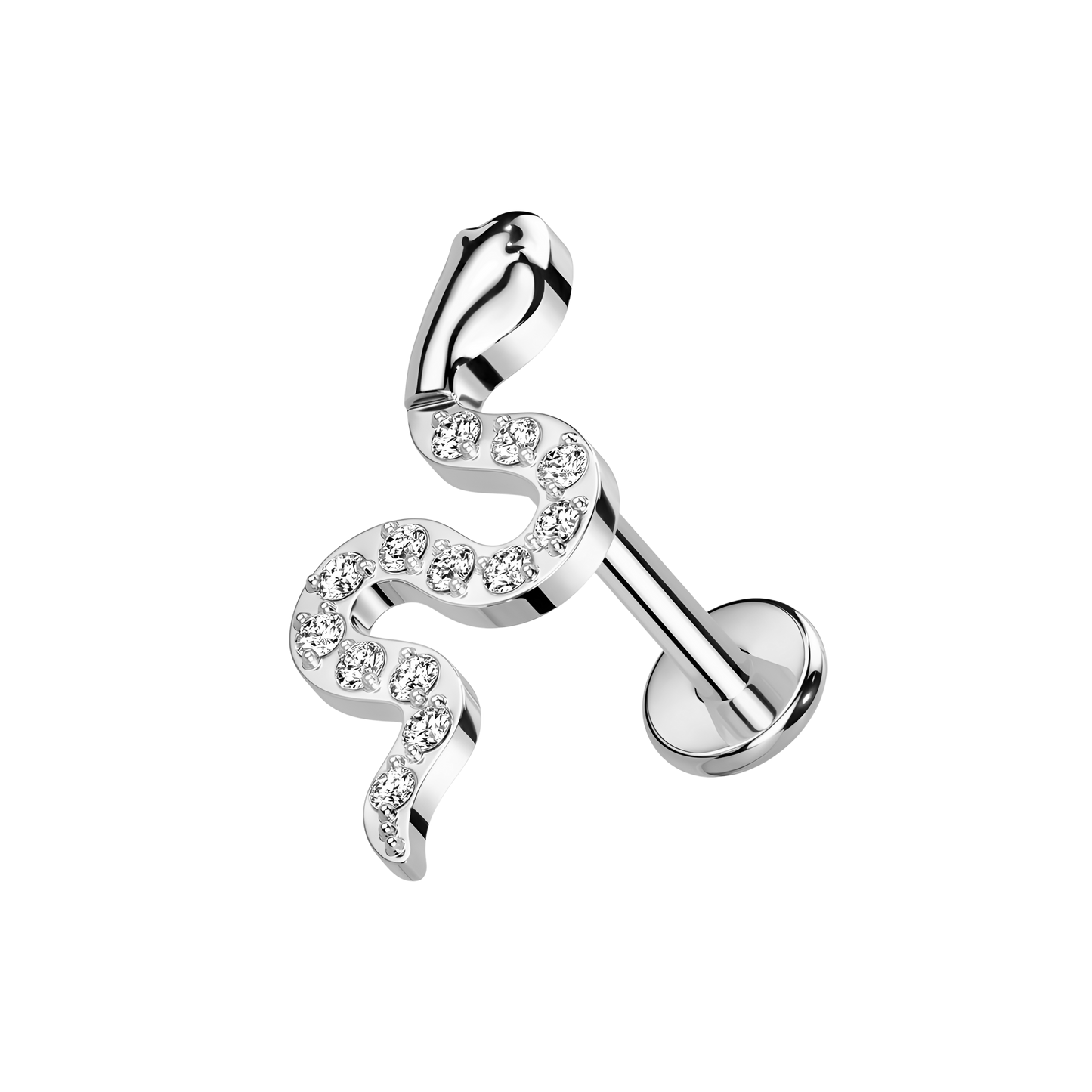 SHINY SNAKE