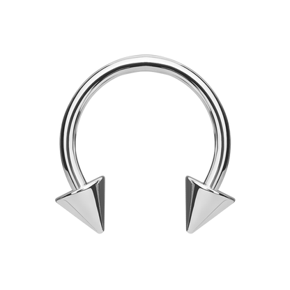HORSESHOE SPIKE