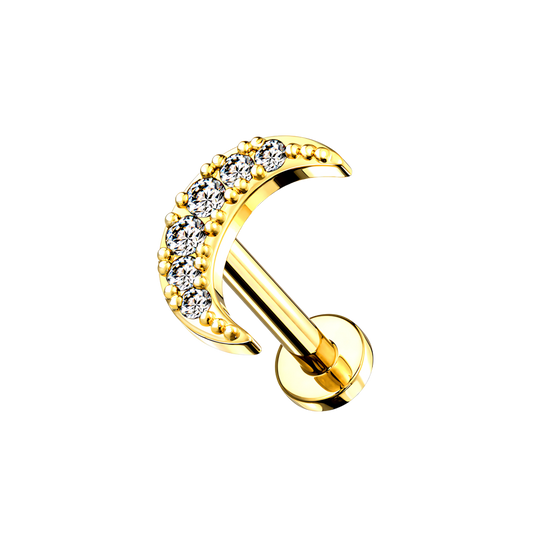 SHINY MOON