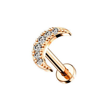 SHINY MOON